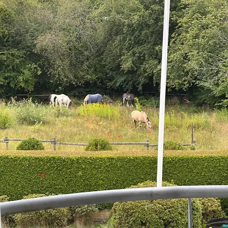 ファームステイ Lundtoftegaard